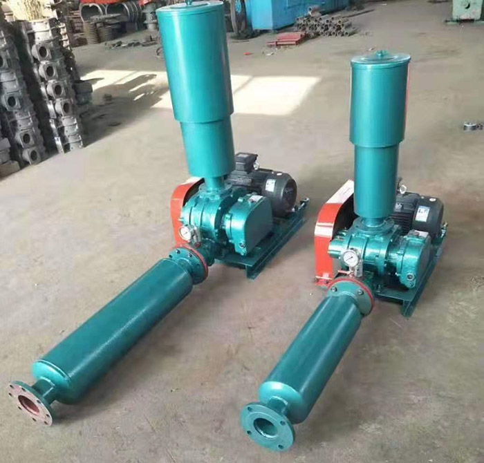 羅茨鼓風(fēng)機(圖1)
